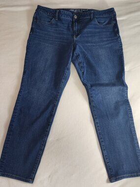 American Eagle Super Super Stretch X4 Jeggings Size 18 Regular Blue